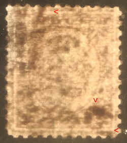 IMGP1107.JPG (256732 bytes)